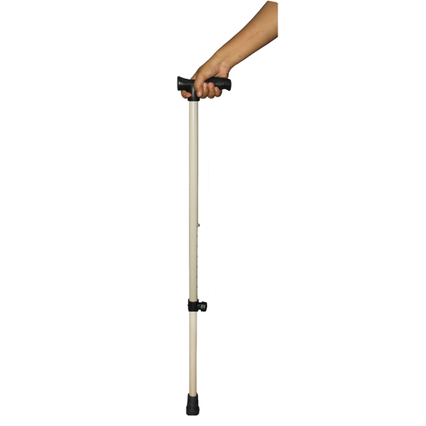 Imp Walking Stick 1 Leg