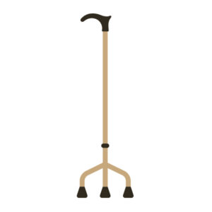 Imp Walking Stick 3 Leg