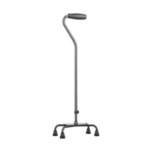 Imp Walking Stick 4 Leg
